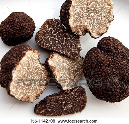 Tuber melanosporum View Large Photo Image Stock Photo - Tuber melanosporum. Fotosearch