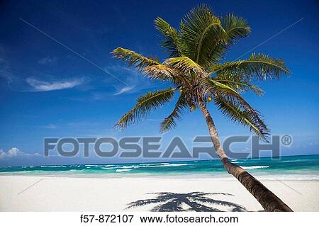 Tulum, Mexico View Large Photo Image Stock Photo - Tulum, Mexico. Fotosearch