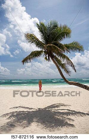 Tulum, Mexico View Large Photo Image Stock Photograph - Tulum, Mexico. Fotosearch