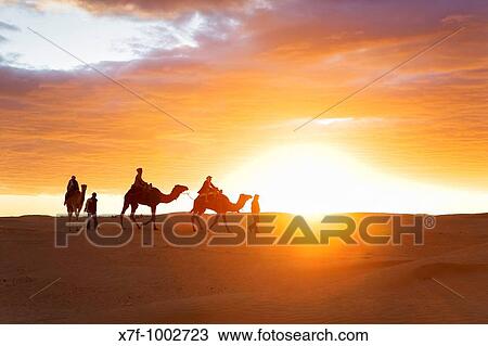 Tunisia Douz Desert dromedaries View Large Photo Image Stock Image - Tunisia Douz Desert dromedaries. Fotosearch