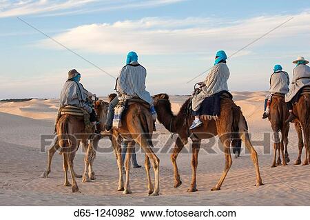 Tunisia, Sahara Desert, Douz, Great Dune, camel caravan, NR View Large Photo Image Stock Image - Tunisia, Sahara Desert, Douz, Great Dune, camel caravan, NR. Fotosearch