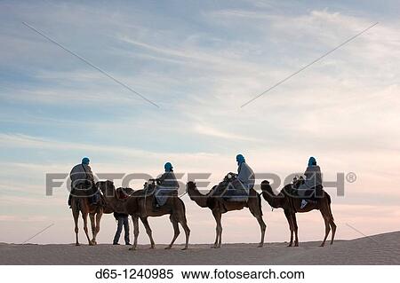 Tunisia, Sahara Desert, Douz, Great Dune, camel caravan, NR View Large Photo Image Stock Photography - Tunisia, Sahara Desert, Douz, Great Dune, camel caravan, NR. Fotosearch