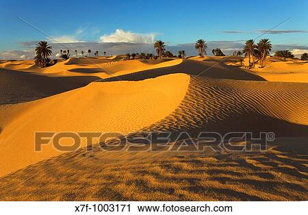Stock Image - Tunisia Zaafrane Douz Desert. Fotosearch