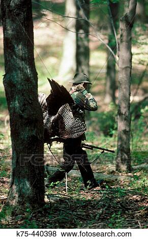 Stock Photo - Turkey hunting in spring. Pennsylvania, USA. Fotosearch