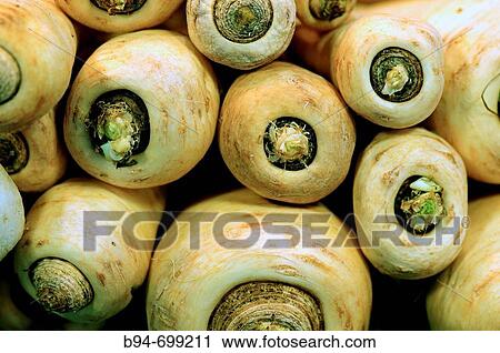 Turnips. La Boquer? a market. Barcelona. Spain. View Large Photo Image Stock Image - Turnips. La Boquer? a market. Barcelona. Spain.. Fotosearch