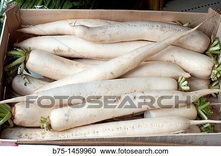 Turnips View Large Photo Image Stock Image - Turnips. Fotosearch