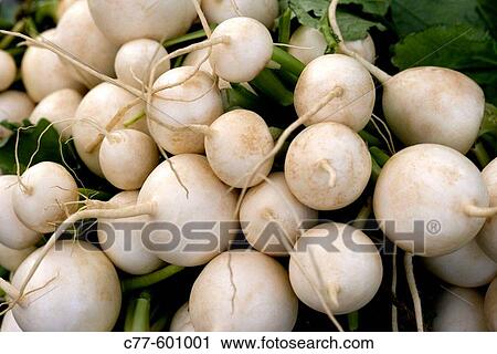 Stock Image - Turnips.. Fotosearch