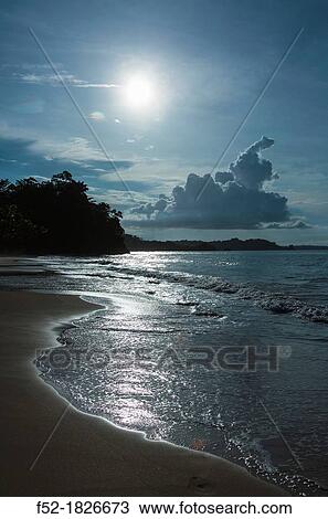 Stock Image - Turtle Beach, Bastimentos Island, Bocas del Toro Archipelago, Bocas del Toro Province, Panama, Central America, America. Fotosearch