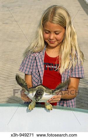 turtle farm, iles caymans, cayman islands, View Large Photo Image Stock Image - turtle farm, iles caymans, cayman islands,. Fotosearch