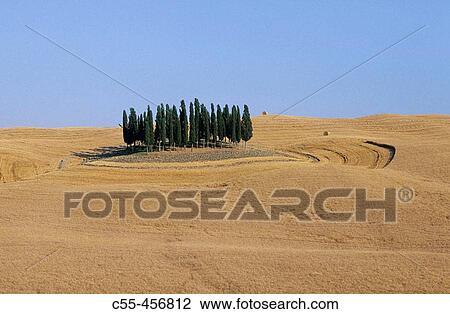 Tuscan landscape near San Quirico d? Orcia. Italy View Large Photo Image Stock Image - Tuscan landscape near San Quirico d? Orcia. Italy. Fotosearch