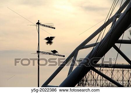 Stock Photograph - tv aerial by ponte dell? ostiense bridge in the garbatella district of rome italy.. Fotosearch