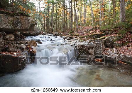 Stock Photo - Twin Brook along the Bolles Trail in Albany, New Hampshire USA. Fotosearch