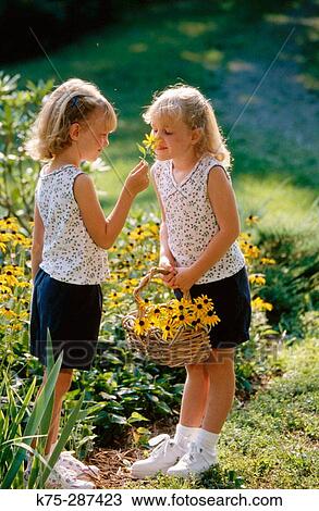 Stock Image - twin sisters picking flowers. Fotosearch