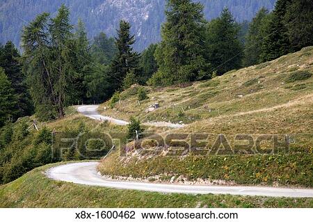 Twisting dirt road on the Swiss Alps, Switzerland View Large Photo Image Stock Image - Twisting dirt road on the Swiss Alps, Switzerland. Fotosearch