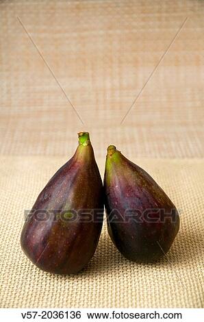 Stock Photograph - Two black figs.. Fotosearch