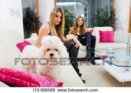 Two blonde girls and a pet dog View Large Photo Image Stock Photo - Two blonde girls and a pet dog. Fotosearch