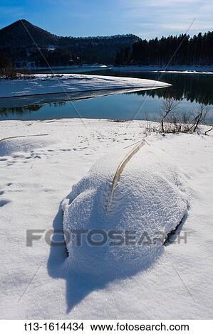 Picture - Two boats inverted and covered with snow, Lokve lake in Croatia. Fotosearch