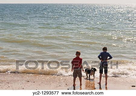 Two boys and their dog on a UK beach paddling in the sea in the summer View Large Photo Image Stock Photo - Two boys and their dog on a UK beach paddling in the sea in the summer. Fotosearch