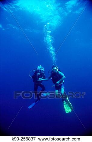 Two divers emerging from deep blue. Archipelago of Raja Ampat. Papua, Indonesia View Large Photo Image Stock Photo - Two divers emerging from deep blue. Archipelago of Raja Ampat. Papua, Indonesia. Fotosearch