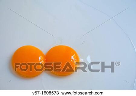 Two egg yolks View Large Photo Image Stock Image - Two egg yolks. Fotosearch
