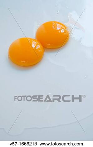 Two egg yolks View Large Photo Image Stock Photo - Two egg yolks. Fotosearch