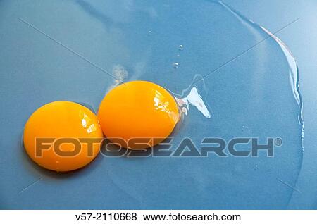 Two eggs on blue surface. Close up. View Large Photo Image Stock Photo - Two eggs on blue surface. Close up.. Fotosearch