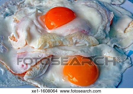 two fried eggs View Large Photo Image Picture - two fried eggs. Fotosearch