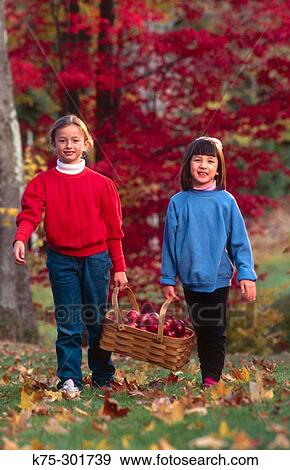 Stock Photo - two friends carrying a basket of apples. Fotosearch