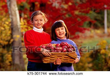 two girls holding a basket of apples View Large Photo Image Picture - two girls holding a basket of apples. Fotosearch