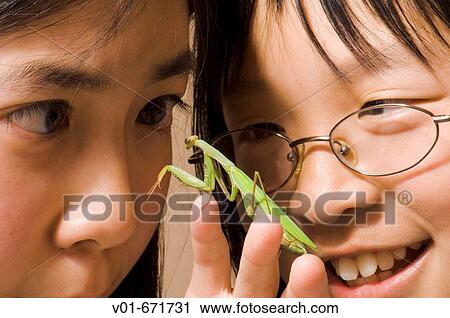 Stock Image - Two girls meeting a praying mantis. Fotosearch