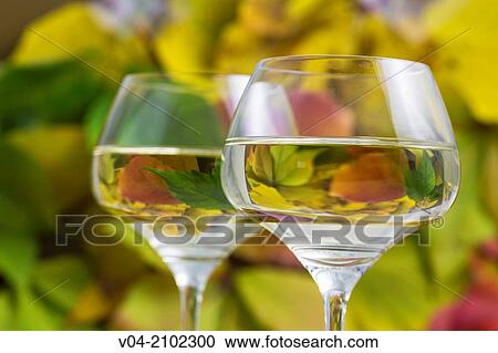 Two glasses of white wine View Large Photo Image Stock Image - Two glasses of white wine. Fotosearch