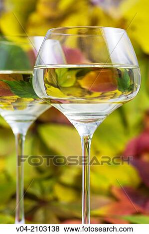 Two glasses of white wine View Large Photo Image Stock Photo - Two glasses of white wine. Fotosearch