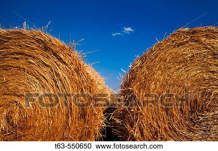 Two hay bales side by side View Large Photo Image Stock Image - Two hay bales side by side. Fotosearch