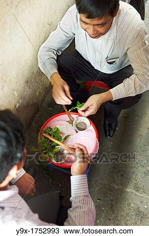 Two men enjoying a traditional Vietnamese dish while seated in an alley in Hanoi Vietnam View Large Photo Image Stock Image - Two men enjoying a traditional Vietnamese dish while seated in an alley in Hanoi Vietnam. Fotosearch