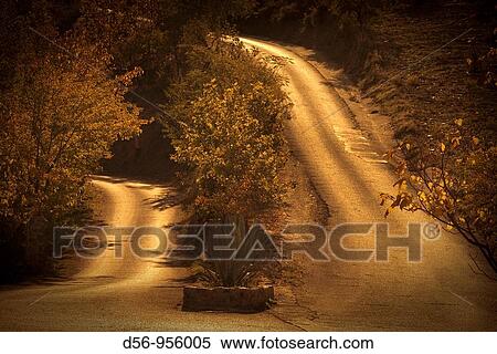 two paths View Large Photo Image Stock Photography - two paths. Fotosearch