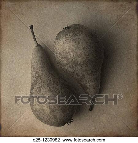 Two pears arranged in a still-life composition with a toned, textured finish. View Large Photo Image Stock Image - Two pears arranged in a still-life composition with a toned, textured finish.. Fotosearch