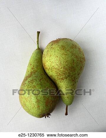 Stock Photography - Two pears arranged in a still life composition.. Fotosearch