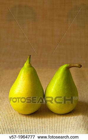 Stock Photo - Two pears. Still life.. Fotosearch