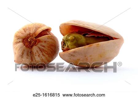 Stock Photography - Two pistachio nuts isolated on a white background.. Fotosearch