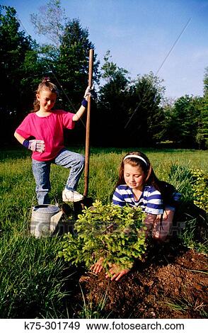 Stock Photo - two sisters planting a tree. Fotosearch