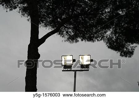 two spot flood lights by tree at night View Large Photo Image Stock Image - two spot flood lights by tree at night. Fotosearch