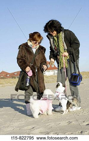 two women having fun with pets on the beach View Large Photo Image Stock Photography - two women having fun with pets on the beach. Fotosearch