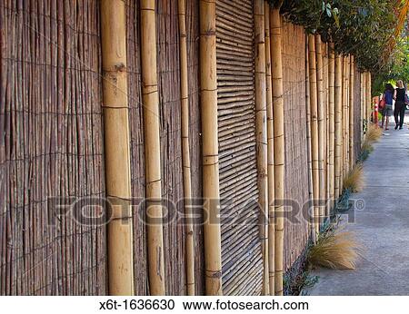 Two women in the distance walking down a sidewalk next to a bamboo fenced property in summer View Large Photo Image Stock Image - Two women in the distance walking down a sidewalk next to a bamboo fenced property in summer. Fotosearch