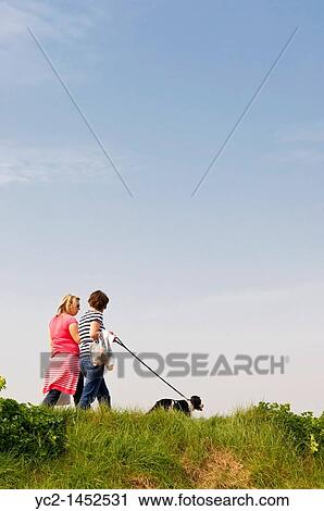 Two women in their early thirties walking an English Springer Spaniel in the Uk View Large Photo Image Stock Image - Two women in their early thirties walking an English Springer Spaniel in the Uk. Fotosearch