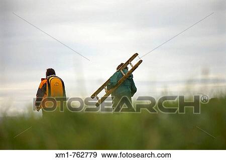 Two women walking and carrying a ladder View Large Photo Image Stock Photo - Two women walking and carrying a ladder. Fotosearch