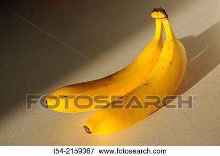 Two yellow bananas in the light View Large Photo Image Stock Photo - Two yellow bananas in the light. Fotosearch