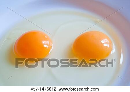 Stock Image - Two yolks in a dish. Fotosearch