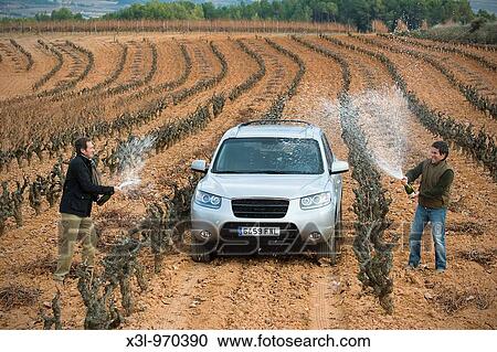 Two young men sprayed with champagne on the car in a vineyard Barcelona Catalonia Spain View Large Photo Image Stock Image - Two young men sprayed with champagne on the car in a vineyard Barcelona Catalonia Spain. Fotosearch