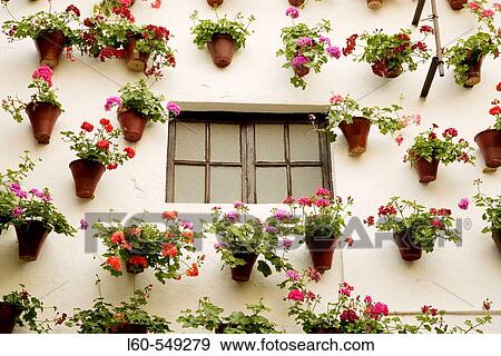 Stock Photo - Typical courtyard, C? rdoba. Andalusia, Spain. Fotosearch