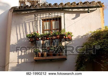 Typical house plants and bars in the neighborhood of Santa Cruz, Sevilla, Andalucia, Spain View Large Photo Image Stock Image - Typical house plants and bars in the neighborhood of Santa Cruz, Sevilla, Andalucia, Spain. Fotosearch